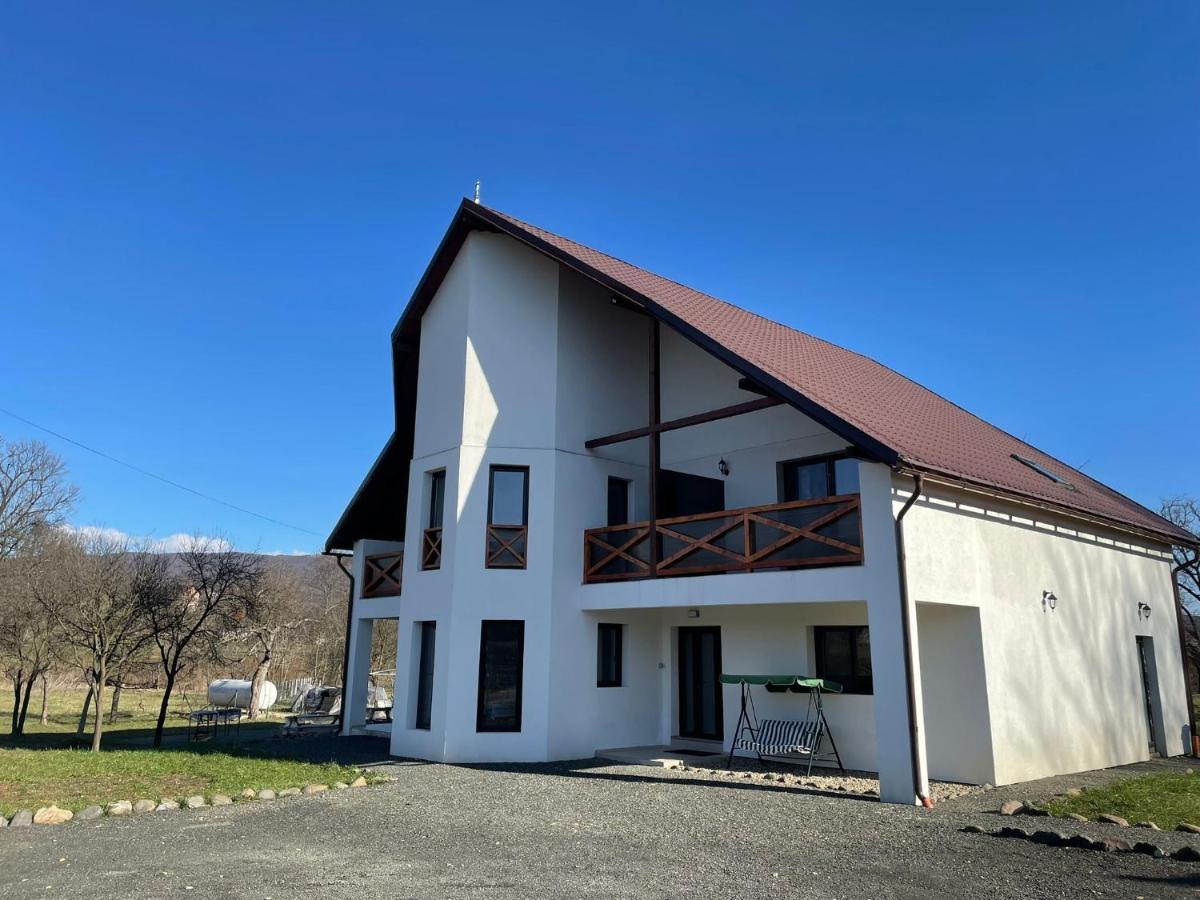 Pensiunea Rnb Maramures Surdesti  Eksteriør bilde