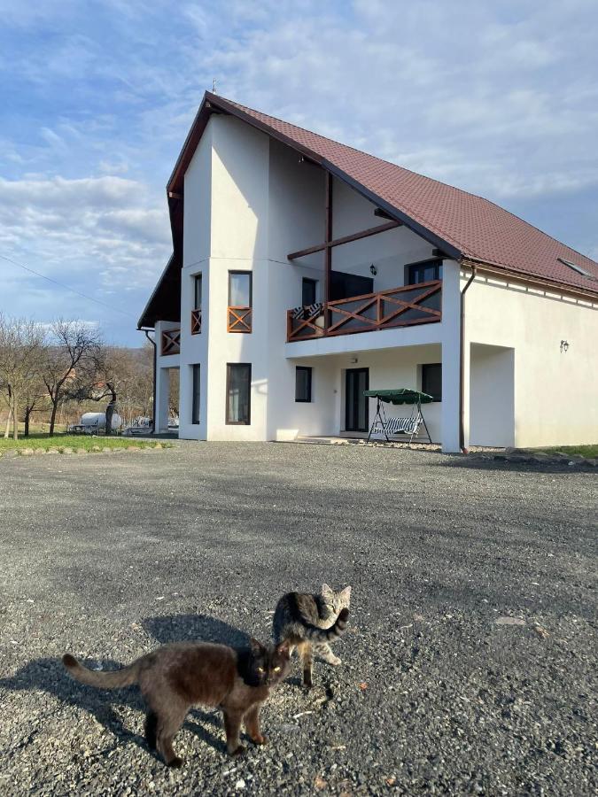 Pensiunea Rnb Maramures Surdesti  Eksteriør bilde
